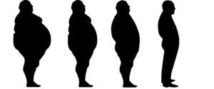 lose weight, fat, slim